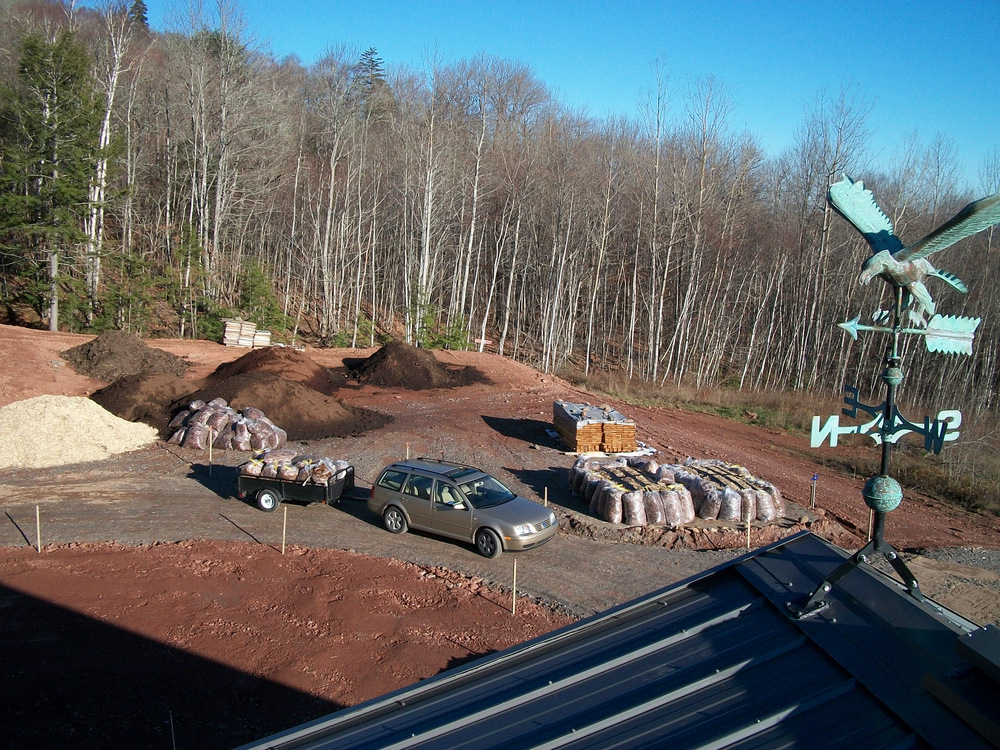 This image was from fall 2010 after Anthony and Etienne knocked together the first 2 raised beds. Collected leaf bags proved unnecessary for over winter insulation.