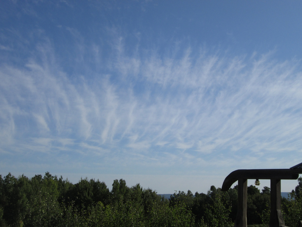 Visual interlude, as this boy never tires.