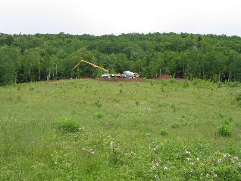 Forest backdrop at 87M above sea level on the south side of the North Mountain.