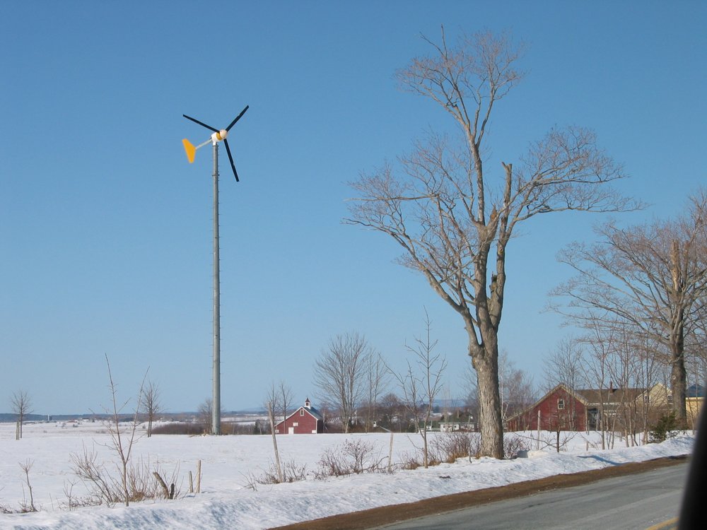 A 10 kW Bergey east of #358 on Canard Rd. erected before Kings adopted their policy re: small-scale turbines, circa 2005, I believe. This one is easily within 200' of at least 2 homes. Grandfathered!