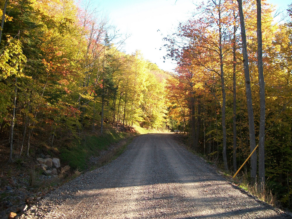 Really hard to take vista, coming in the 800' long driveway to work each AM before 8 through Sept. and Oct.
