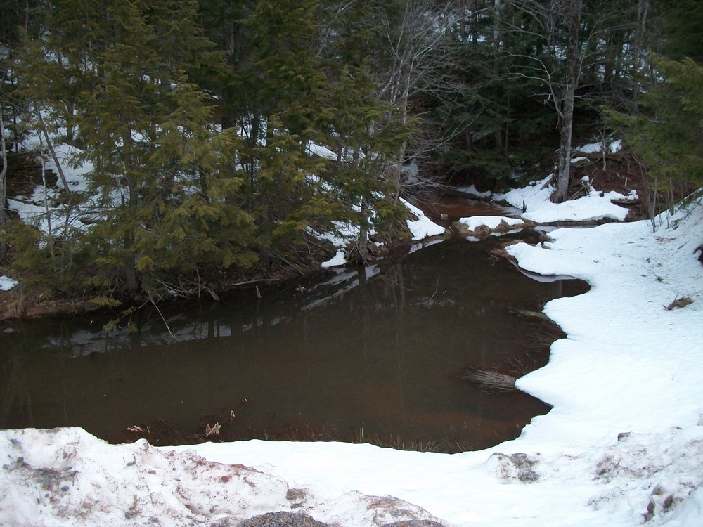 Duck pond for two mallards, Him & Her: Yin & Yang: Shiva & Shakti: . . .